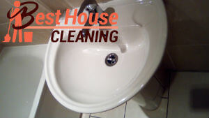 professional cleaning services 4