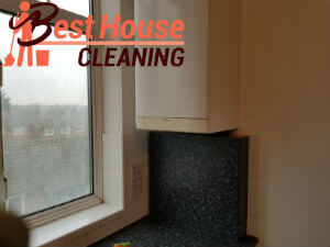 professional cleaning services